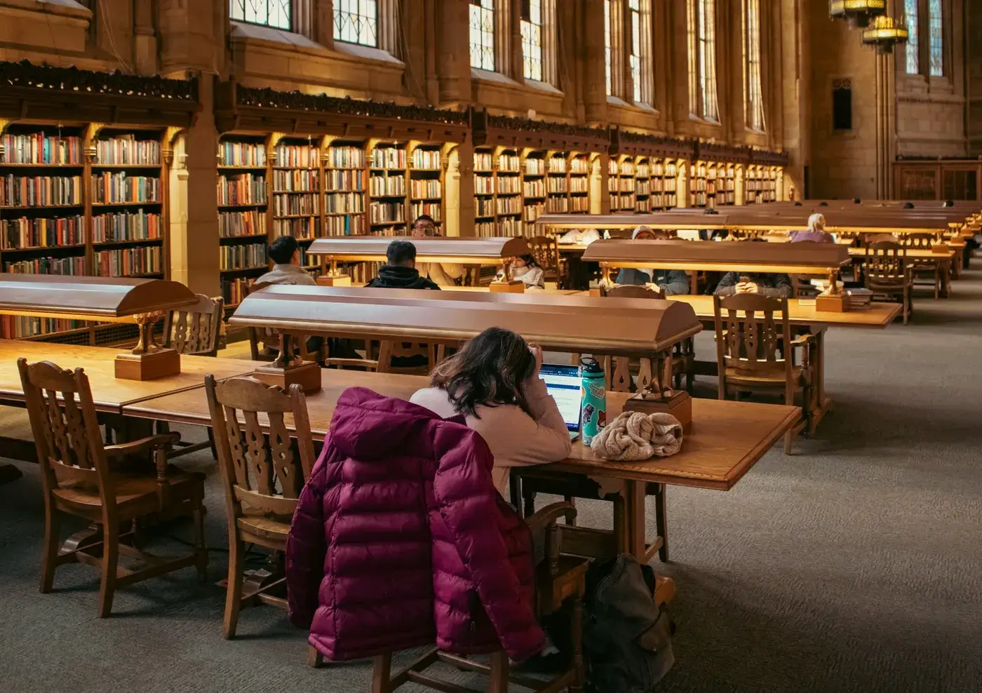 Student studying in a university library